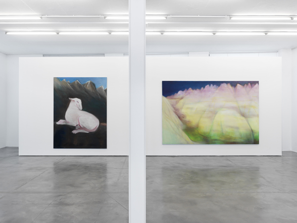 galery view