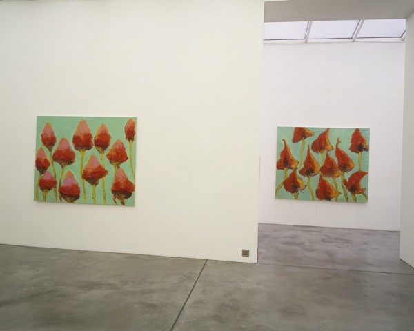 galery view