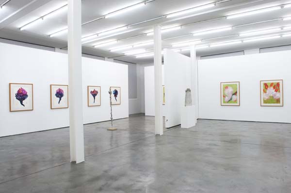 galery view