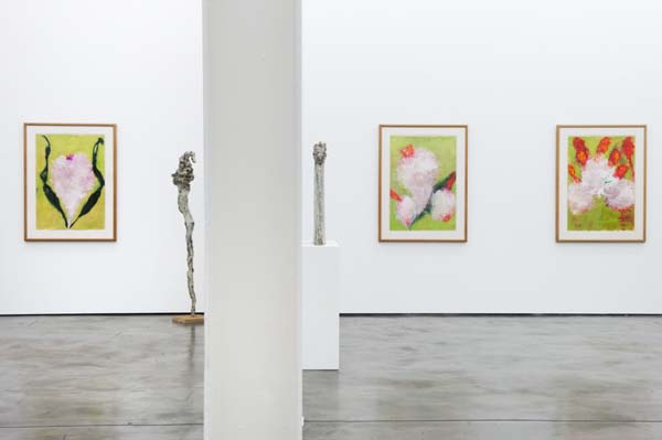 galery view