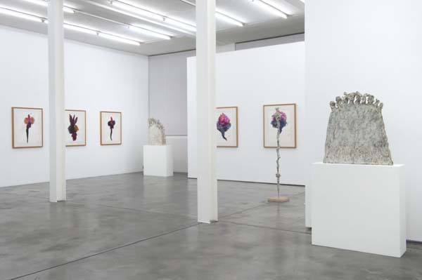 galery view